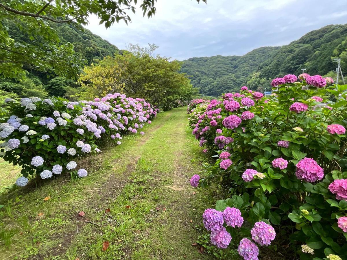 Ｋａｏｒｕ　Ｉｎｎ Villa Minamiizu Bagian luar foto