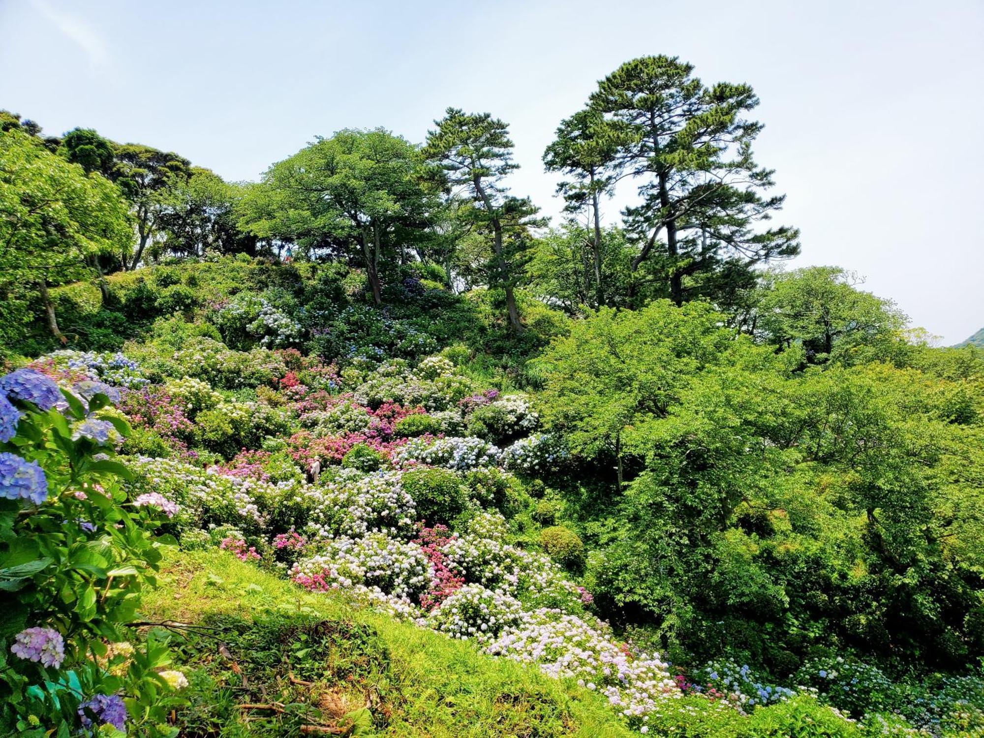 Ｋａｏｒｕ　Ｉｎｎ Villa Minamiizu Bagian luar foto