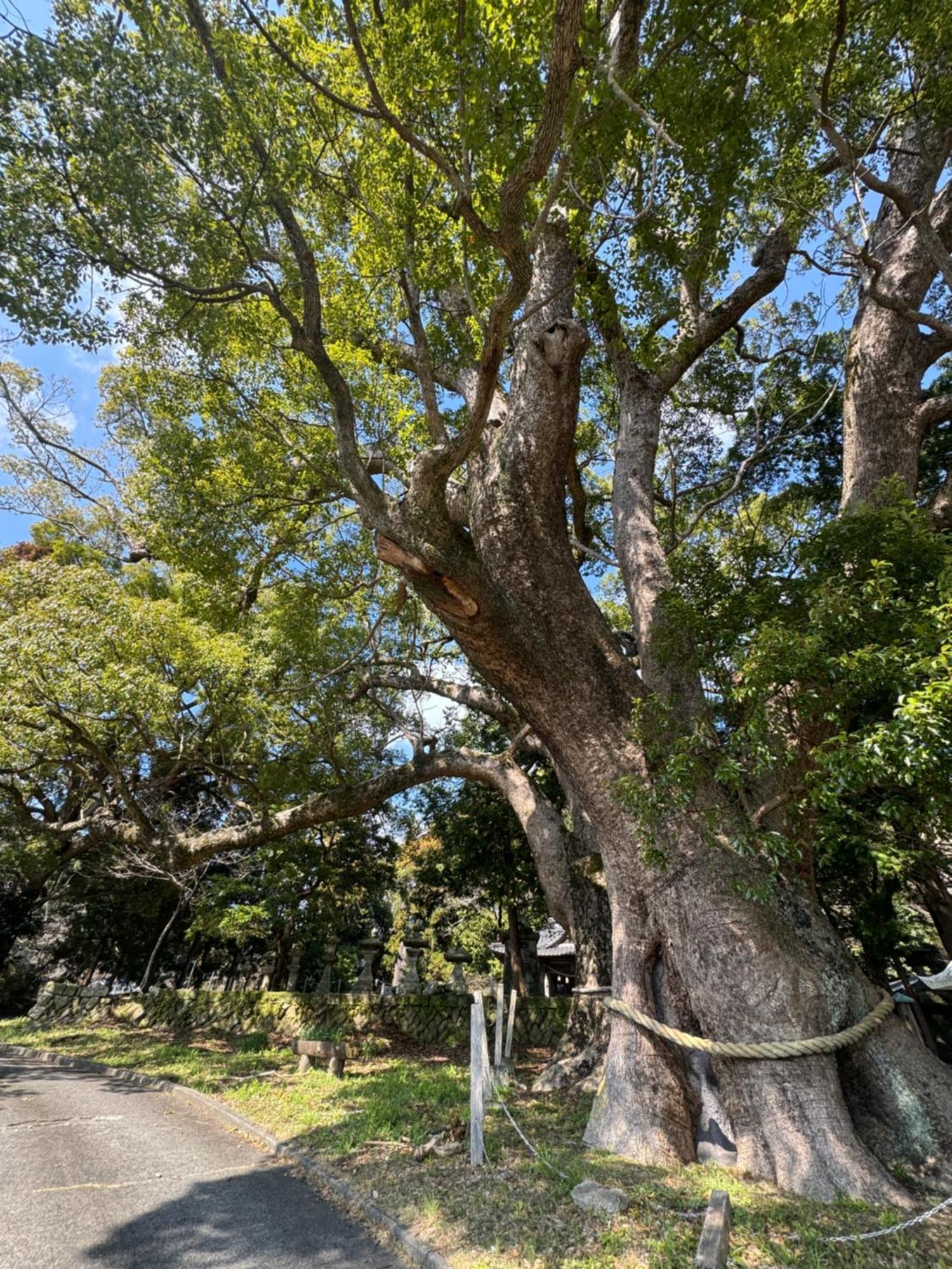 Ｋａｏｒｕ　Ｉｎｎ Villa Minamiizu Bagian luar foto